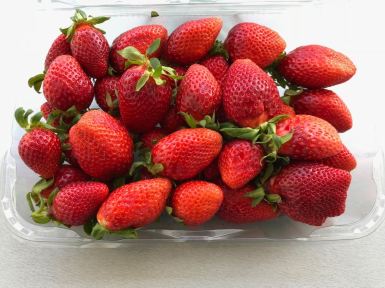 f5775ffa-547f-428e-b43e-cdd974c06e1a