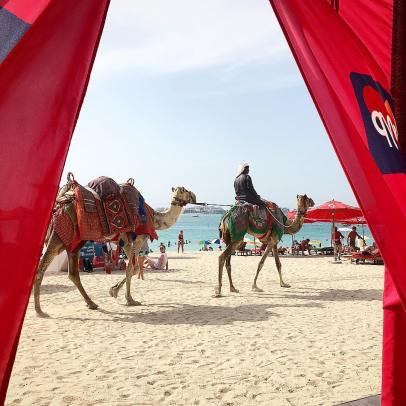 31016771_2060901050819904_8383256402029707264_n